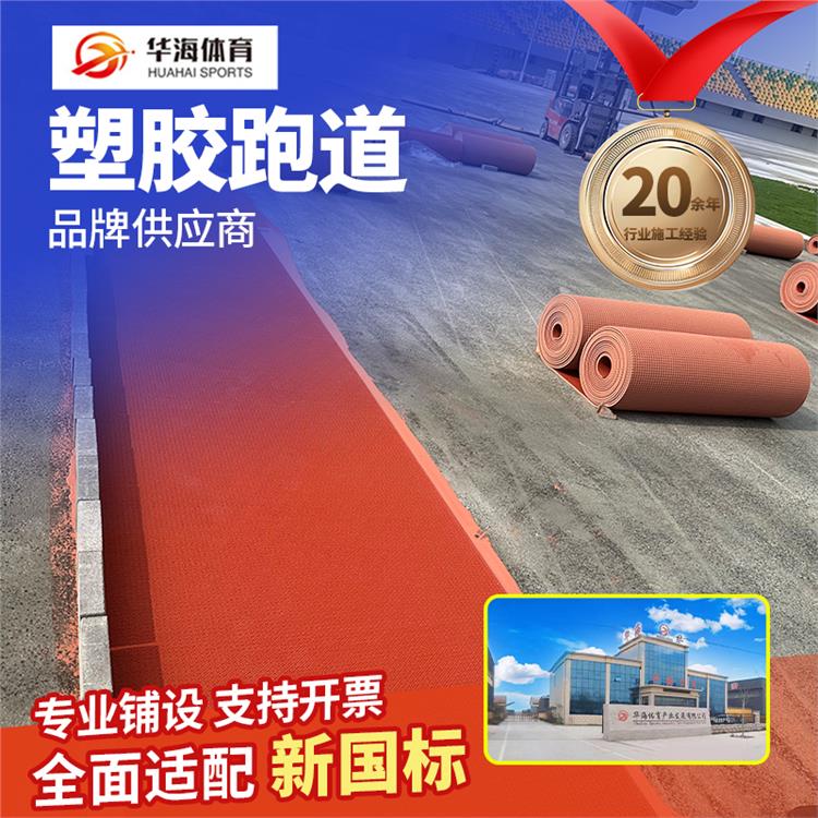 宜昌市半预制跑道预制跑道卷材 - 厂家